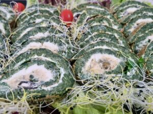 Roladki szpinakowe z twarogiem czosnkowym